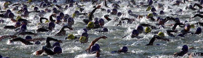 Swim Brawl